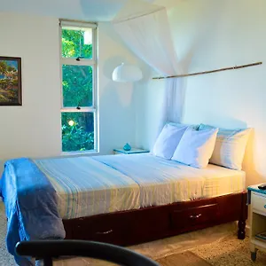 moonlight-beach-studio-montego-bay-club.comcaribbean.com/
